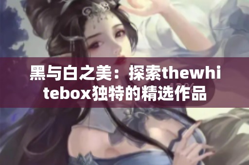 黑与白之美：探索thewhitebox独特的精选作品