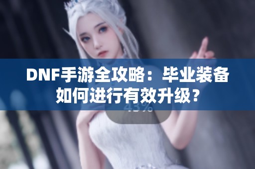 DNF手游全攻略：毕业装备如何进行有效升级？