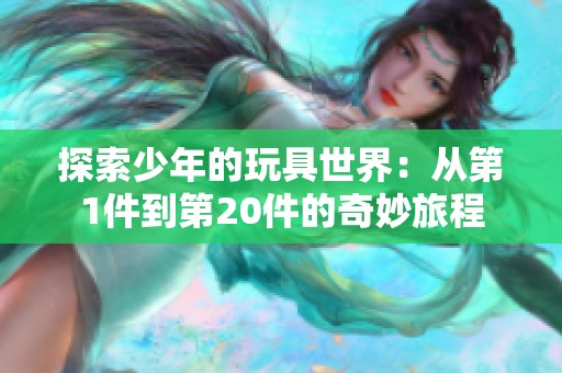 探索少年的玩具世界：从第1件到第20件的奇妙旅程