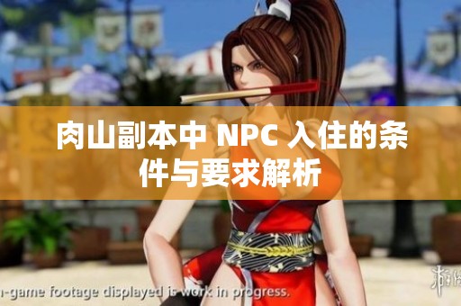 肉山副本中 NPC 入住的条件与要求解析