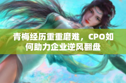 青梅经历重重磨难，CPO如何助力企业逆风翻盘