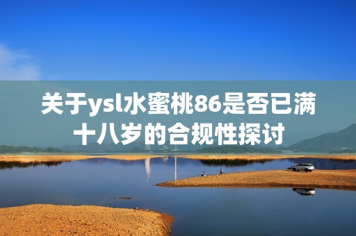 关于ysl水蜜桃86是否已满十八岁的合规性探讨