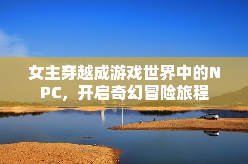 女主穿越成游戏世界中的NPC，开启奇幻冒险旅程