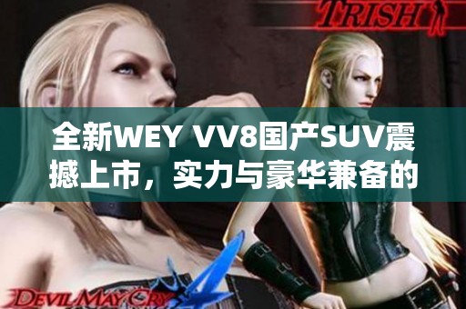 全新WEY VV8国产SUV震撼上市，实力与豪华兼备的选择