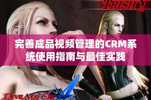 完善成品视频管理的CRM系统使用指南与最佳实践