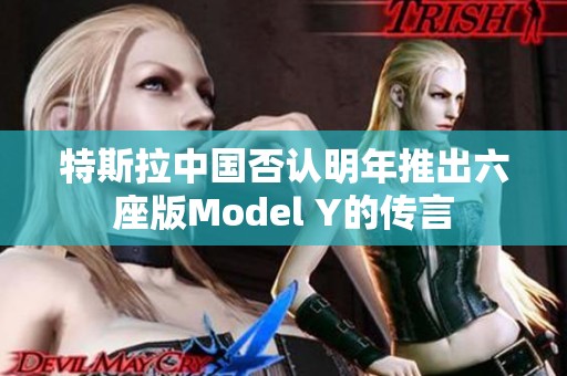 特斯拉中国否认明年推出六座版Model Y的传言