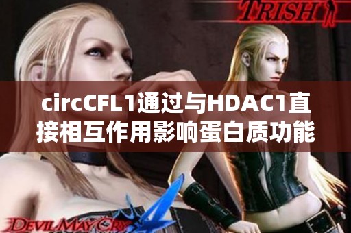 circCFL1通过与HDAC1直接相互作用影响蛋白质功能的研究