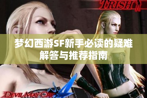 梦幻西游SF新手必读的疑难解答与推荐指南