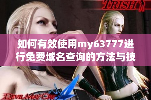 如何有效使用my63777进行免费域名查询的方法与技巧