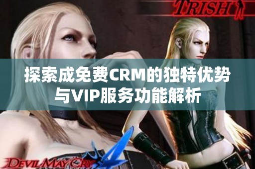 探索成免费CRM的独特优势与VIP服务功能解析