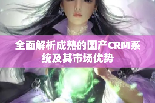 全面解析成熟的国产CRM系统及其市场优势