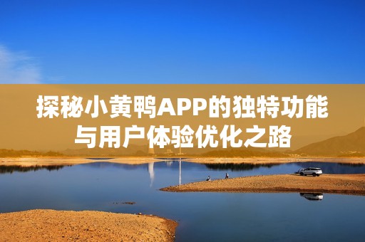 探秘小黄鸭APP的独特功能与用户体验优化之路