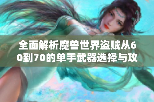 全面解析魔兽世界盗贼从60到70的单手武器选择与攻略