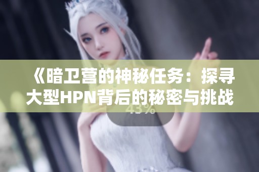 《暗卫营的神秘任务：探寻大型HPN背后的秘密与挑战》