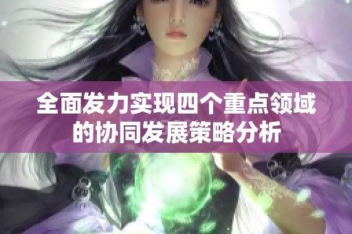 全面发力实现四个重点领域的协同发展策略分析