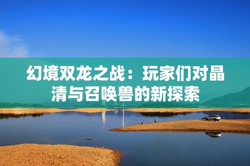 幻境双龙之战：玩家们对晶清与召唤兽的新探索