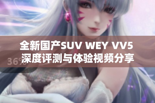 全新国产SUV WEY VV5 深度评测与体验视频分享