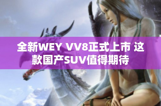 全新WEY VV8正式上市 这款国产SUV值得期待