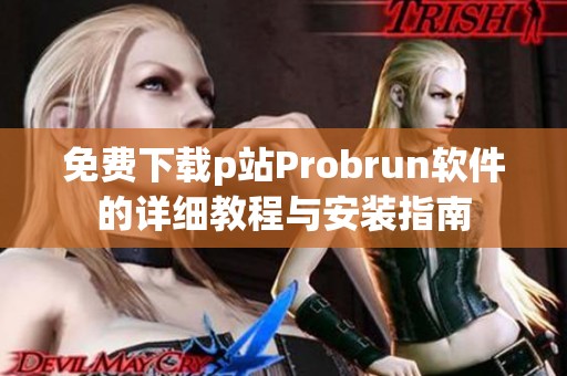 免费下载p站Probrun软件的详细教程与安装指南