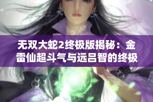 无双大蛇2终极版揭秘：金雷仙超斗气与远吕智的终极对决