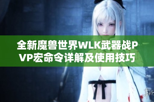 全新魔兽世界WLK武器战PVP宏命令详解及使用技巧