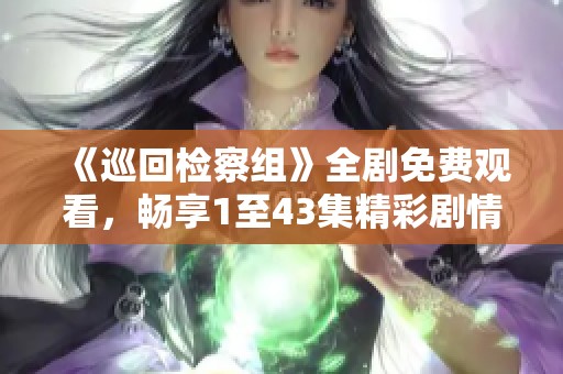 《巡回检察组》全剧免费观看，畅享1至43集精彩剧情！