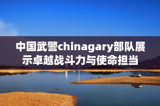 中国武警chinagary部队展示卓越战斗力与使命担当