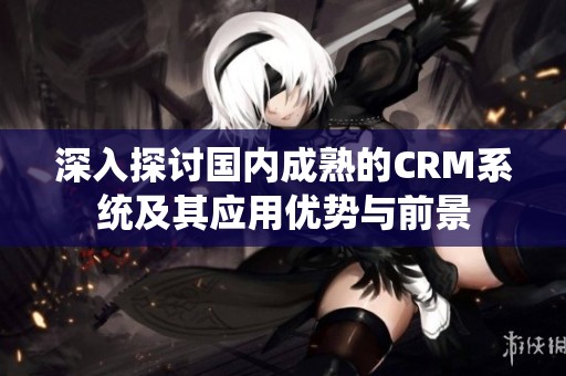 深入探讨国内成熟的CRM系统及其应用优势与前景