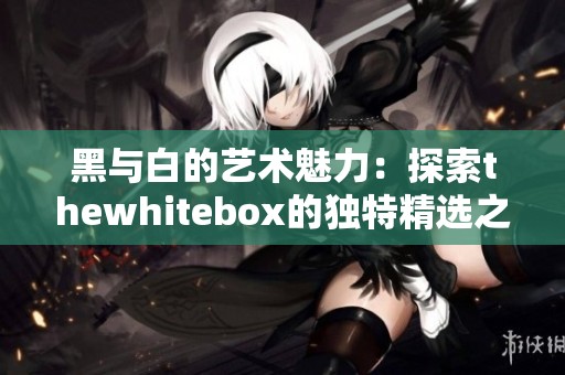 黑与白的艺术魅力：探索thewhitebox的独特精选之作