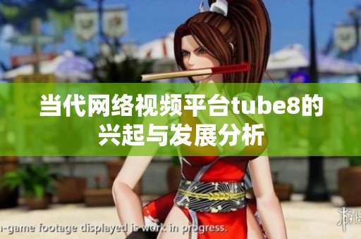 当代网络视频平台tube8的兴起与发展分析