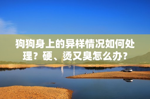 狗狗身上的异样情况如何处理？硬、烫又臭怎么办？