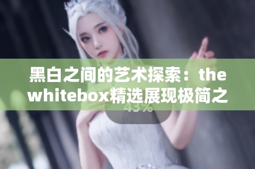 黑白之间的艺术探索：thewhitebox精选展现极简之美