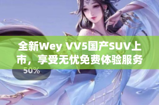 全新Wey VV5国产SUV上市，享受无忧免费体验服务