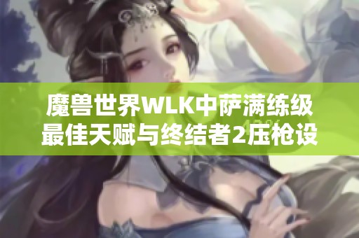 魔兽世界WLK中萨满练级最佳天赋与终结者2压枪设置详解