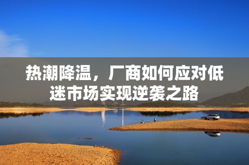 热潮降温，厂商如何应对低迷市场实现逆袭之路