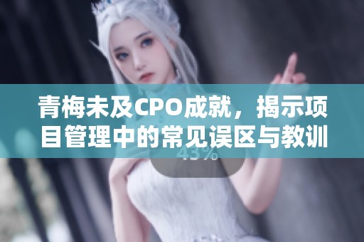 青梅未及CPO成就，揭示项目管理中的常见误区与教训