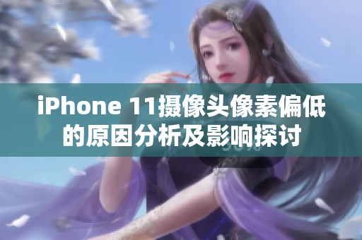 iPhone 11摄像头像素偏低的原因分析及影响探讨