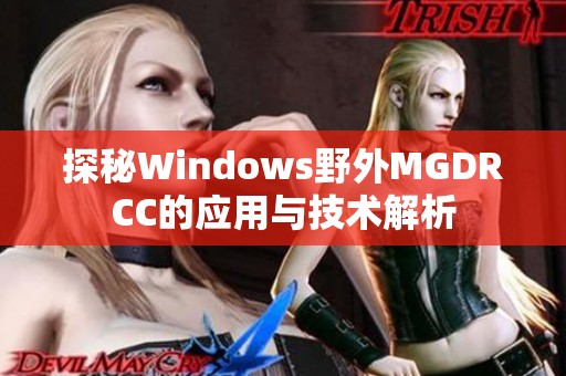 探秘Windows野外MGDRCC的应用与技术解析