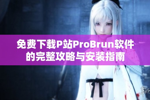 免费下载P站ProBrun软件的完整攻略与安装指南