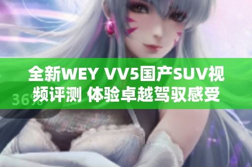 全新WEY VV5国产SUV视频评测 体验卓越驾驭感受