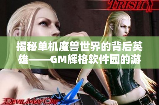 揭秘单机魔兽世界的背后英雄——GM辉格软件园的游戏管理者探索之旅