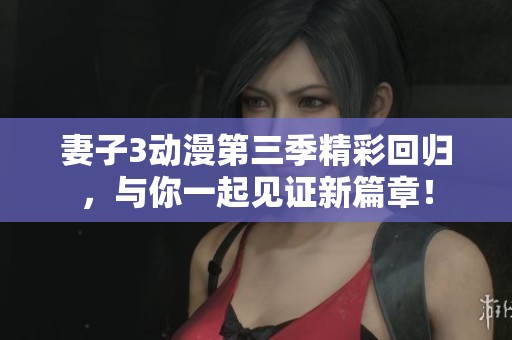 妻子3动漫第三季精彩回归，与你一起见证新篇章！