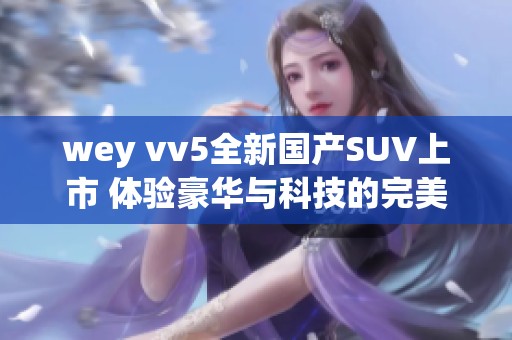 wey vv5全新国产SUV上市 体验豪华与科技的完美结合