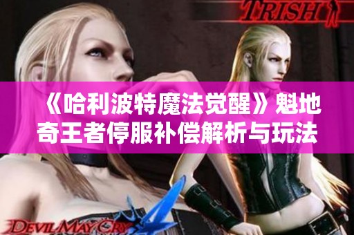 《哈利波特魔法觉醒》魁地奇王者停服补偿解析与玩法指南