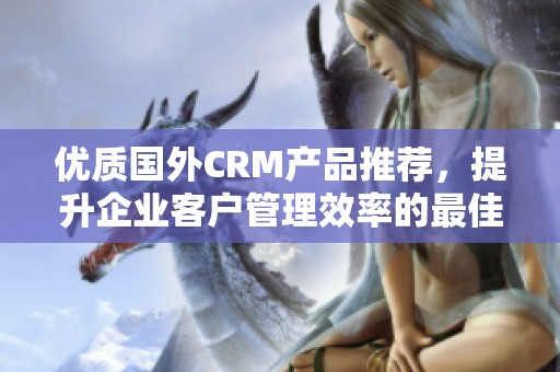 优质国外CRM产品推荐，提升企业客户管理效率的最佳选择