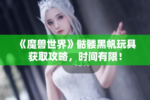 《魔兽世界》骷髅黑帆玩具获取攻略，时间有限！