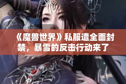 《魔兽世界》私服遭全面封禁，暴雪的反击行动来了