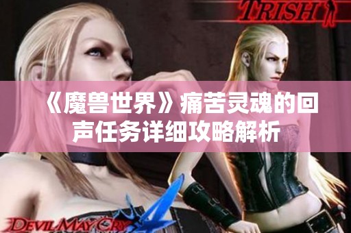 《魔兽世界》痛苦灵魂的回声任务详细攻略解析