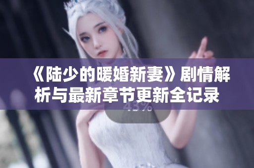 《陆少的暖婚新妻》剧情解析与最新章节更新全记录