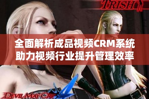 全面解析成品视频CRM系统助力视频行业提升管理效率